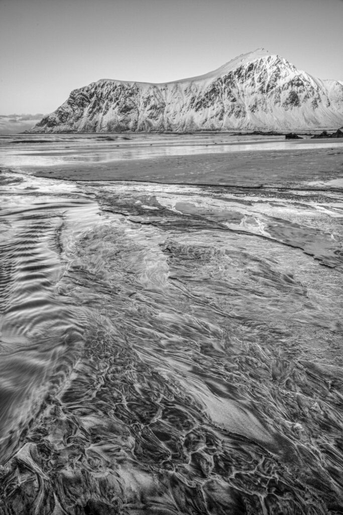 portfolio (24 of 30)